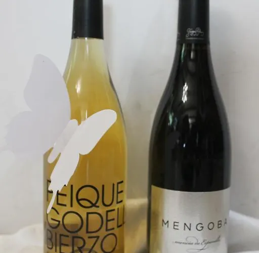 ホテル エル カスティージョ ポンフェラダ